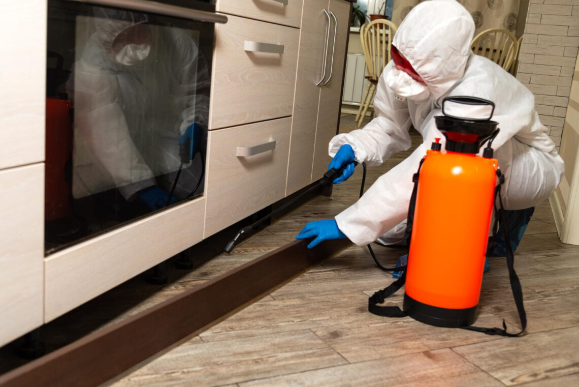 Comprehensive Pest and Termite Treatment Services for Sydney Homeowners