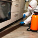 Comprehensive Pest and Termite Treatment Services for Sydney Homeowners