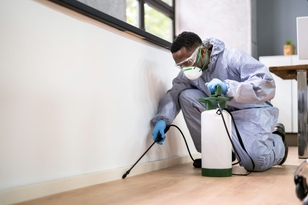 The Top Benefits of Pest Control Services Sydney for Your Business