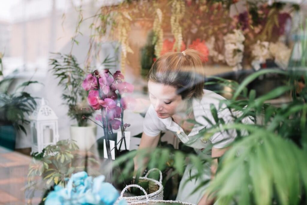 Florist Lavender Bay