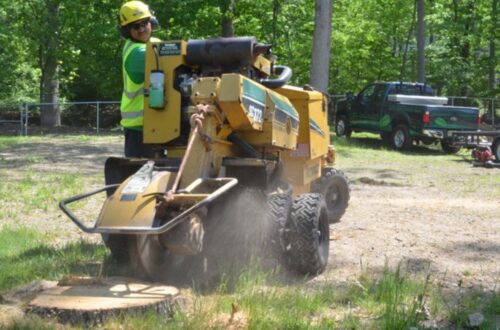 stump grinding prices