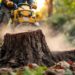 Professional stump grinding
