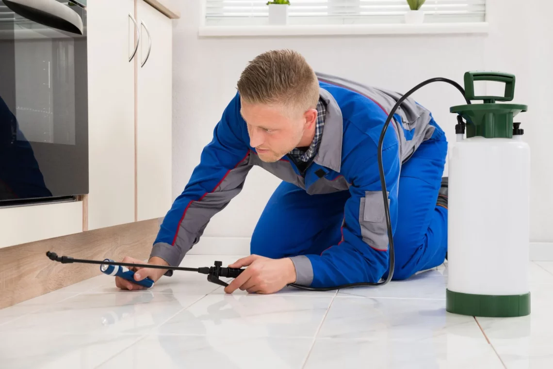 Termite Inspection Blue Mountains: Local Experts You Can Rely On