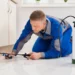 Termite Inspection Blue Mountains: Local Experts You Can Rely On