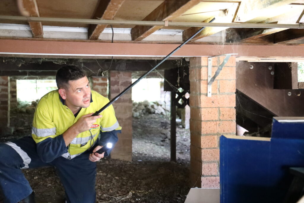 Termite Inspection Blue Mountains: Local Experts You Can Rely On

