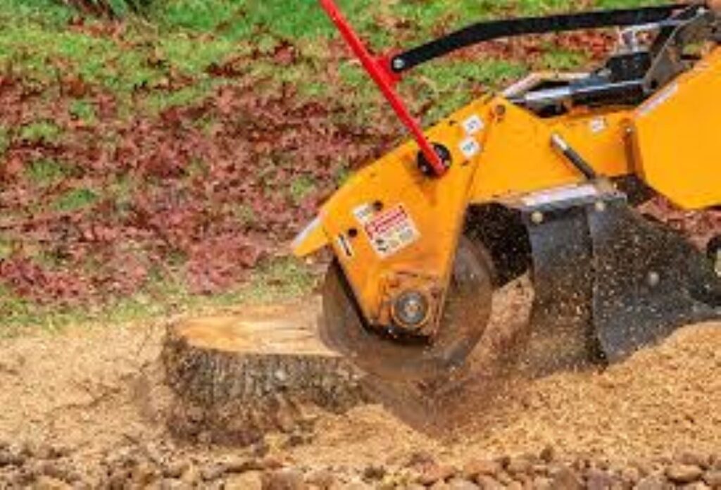 stump grinding prices